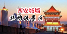 色鬼插jj在线网站中国陕西-西安城墙旅游风景区